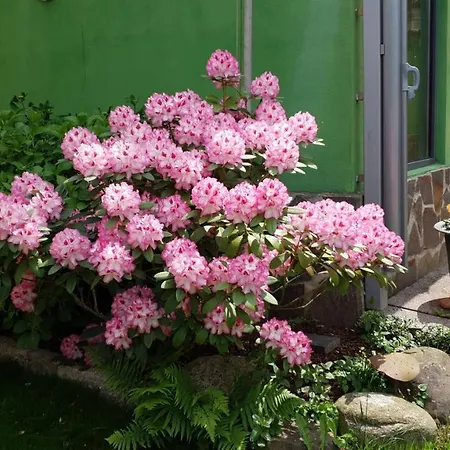 Διαμέρισμα Wurmelhaus