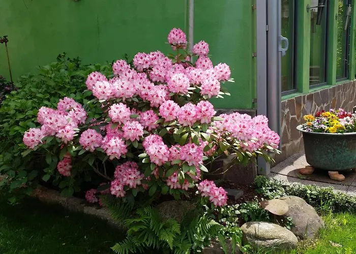 Appartement Wurmelhaus